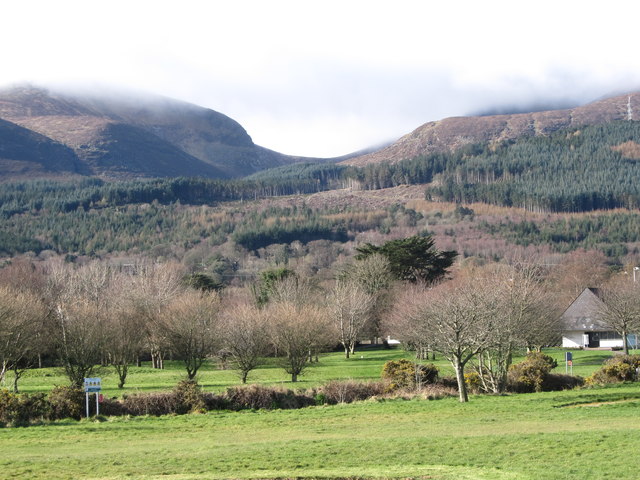 View across Island's Park in the direction of Donard Wood