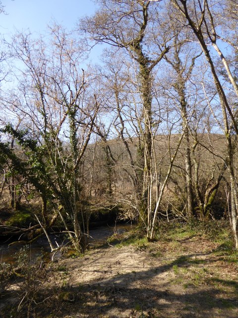 Footpath by River Bovey in Hisley Wood