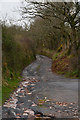 SS8806 : Mid Devon : Venn Lane by Lewis Clarke