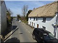 SS5515 : Thatched houses, Beaford by David Smith