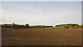 Farmland near Great Bedwyn