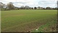 Field near Wick Farm