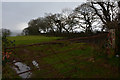 Mid Devon : Grassy Field & Gate