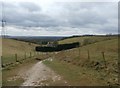 Yorkshire Wolds Way at Woodale