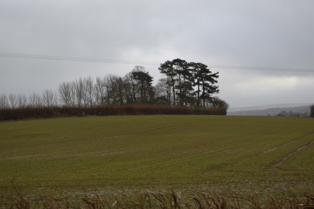 Countryside near Barcombe
