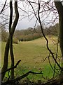 Hoe Valley - seen from Hoe Lane