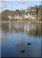 Ducks on Tannoch Loch