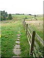 Footpath to Sowerby Croft, near Hollin Lane, Norland