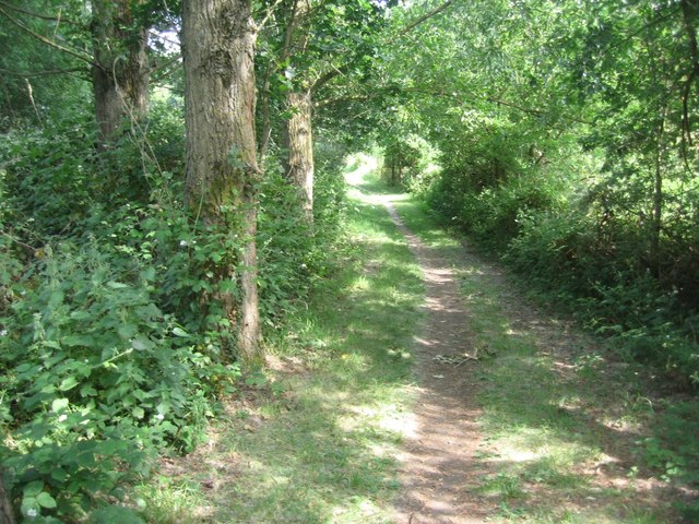 Blackwater Valley Path © Fernweh cc-by-sa/2.0 :: Geograph Britain and ...