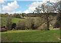 Valley near Boconnoc