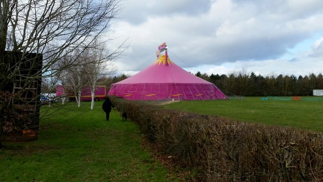 The circus comes to town, 3