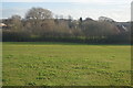 Field on the edge of Great Haywood