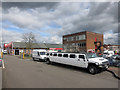 TQ1786 : Limo at the Business Park by Des Blenkinsopp