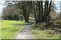 Woodland Path to Cardoness Castle