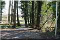 Footpath to Cardoness Castle