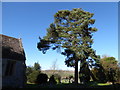 St Egwin, Norton and Lenchwick: churchyard (b)