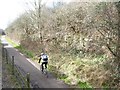ST6771 : Cyclist on the Bristol & Bath Railway Path, Oldland by Christine Johnstone