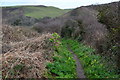 Coastal path towards Lannacombe