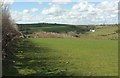 Sheep pasture near Furzepark