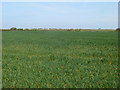 Farmland near Rhyl