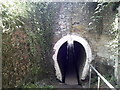 Pony tunnel, Cosgrove