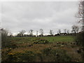 Looking towards Cadgillhead