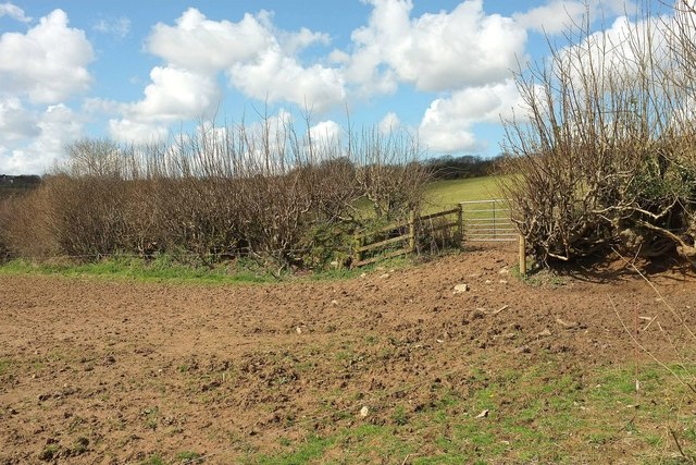 Field boundary above Blackwater