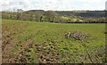 Field above Blackwater