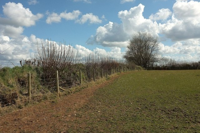 Field boundary near Trevelmond