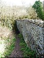 Eastern side of a waggonway bridge, Willsbridge