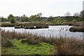 Hogganfield Park Local Nature Reserve