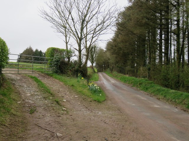 Country road near Balinlining