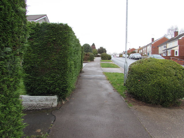 Pavement and hedges, Rowan Way, Malpas, Newport