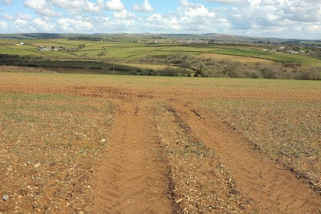 Field near St Pinnock