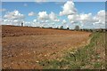 Mostly ploughed field, East Taphouse