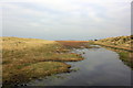 SJ0884 : Wetland at Gronant Dunes by Jeff Buck