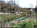 The River Frome near Bowbridge Lock