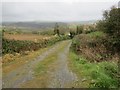 W6554 : Farm trackway by Hywel Williams