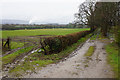 Farm track and field entrance near Bryngwilla Lodge