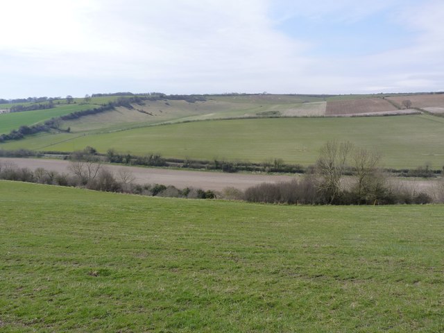 Farmland in the Sydling Valley