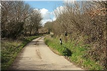 SX1861 : Lane from West Trevillis by Derek Harper