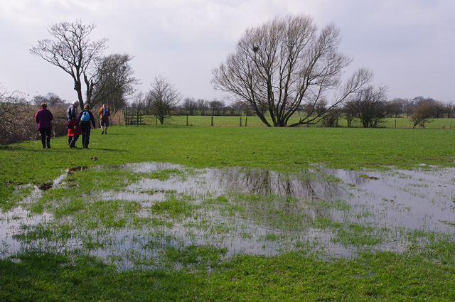 Waterlogged field, Thurnham Moss