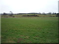 Grazing near Well House