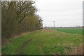 Footpath on arable field margin near Maynards, Little Sampford