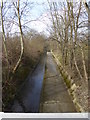 Looking west along Broadfield Brook