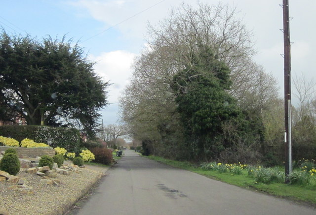 Perrymill Lane, Sambourne © Roy Hughes :: Geograph Britain and Ireland