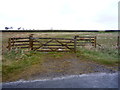 Field entrance, Bale Hill