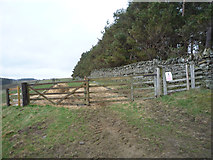 NZ0352 : Field entrance beside Quarry Wood by JThomas