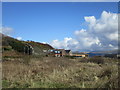 The University Marine Biological Station