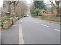 Fenay Lane - viewed from Jessop Avenue